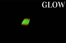 Lade das Bild in den Galerie-Viewer, Gladiator Lure - RYU 43