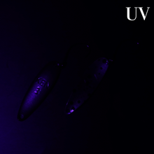 Lade das Bild in den Galerie-Viewer, Gladiator Lure - KEN 12