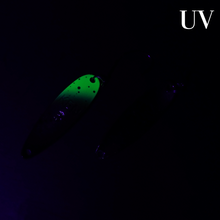 Lade das Bild in den Galerie-Viewer, Gladiator Lure - KEN 21